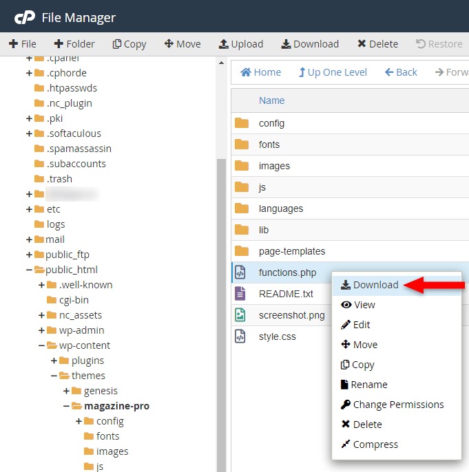 wordpress functions.php download in cpanel
