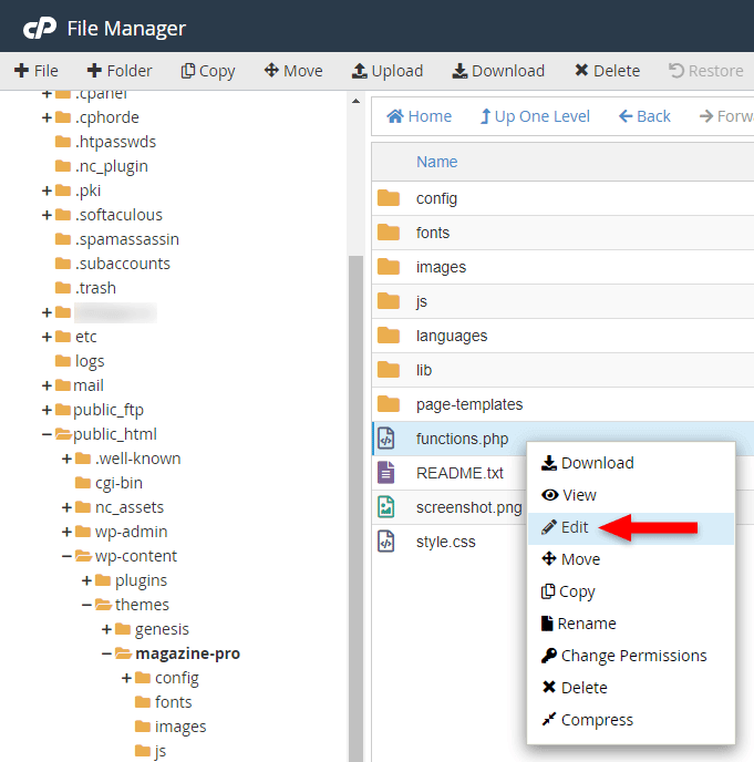 edit functions.php wordPress file in file manager in cpanel