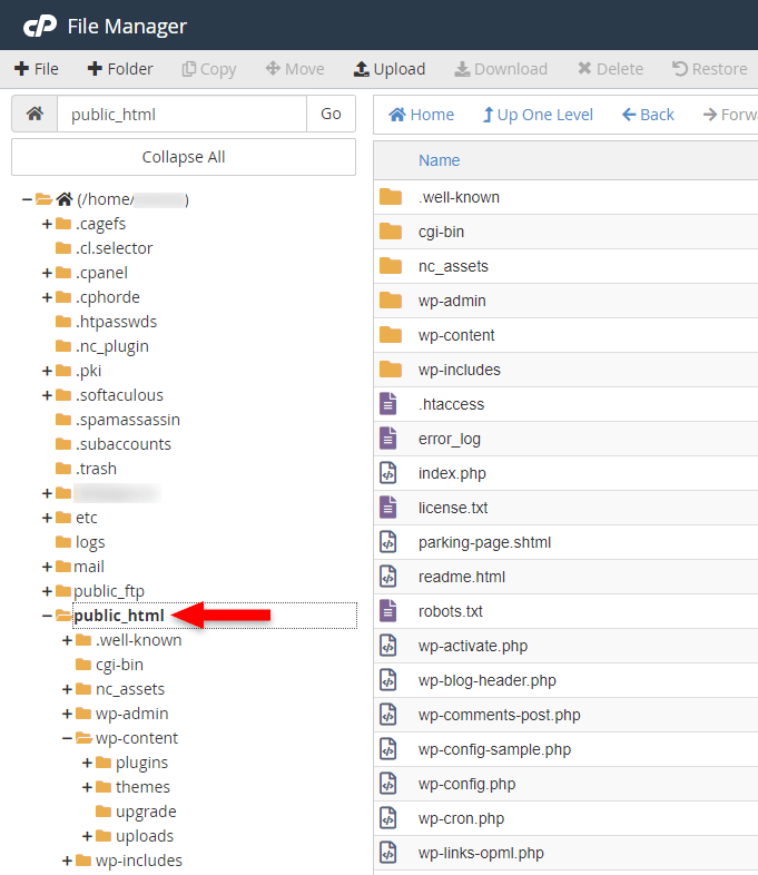 wordpress public_html folder in cpanel