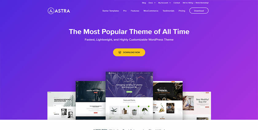 astra wordpress theme