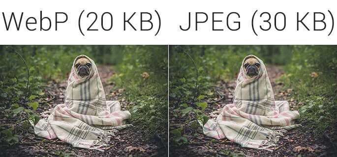 webp vs jpg file size