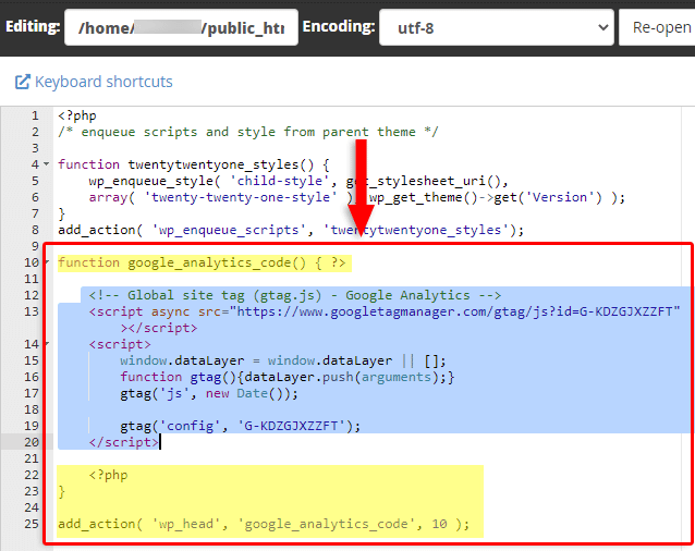 google analytics code in functions.php