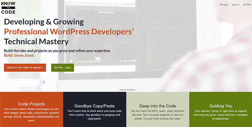 know the code wordpress development