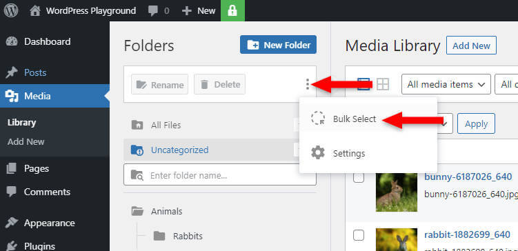 bulk select folders in filebird plugin