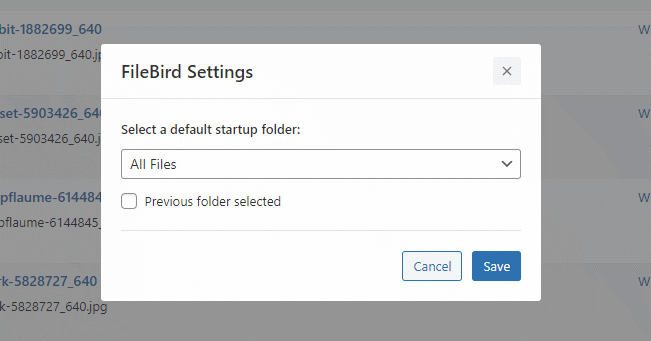 filebird settings