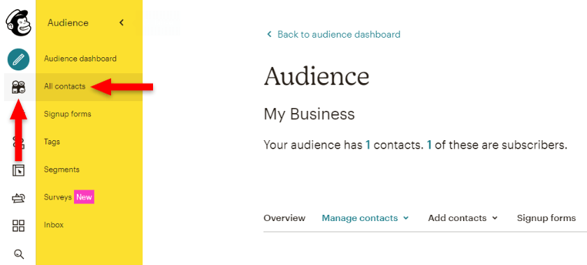 mailchimp audience