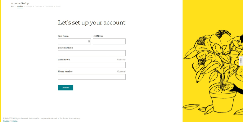 mailchimp profile setup