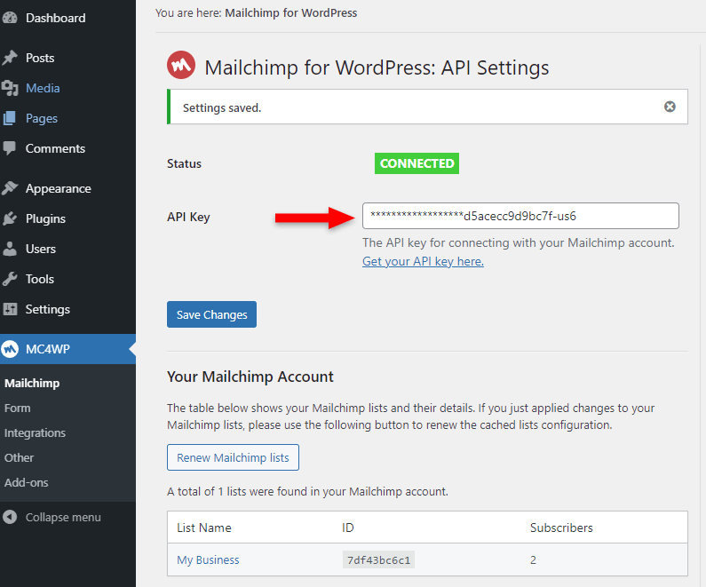 paste mailchimp api key in plugin